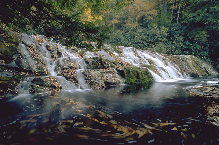 Coker Creek Tennessee
