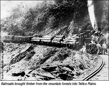 Railroad with timber from mountains to Tellico Plains
