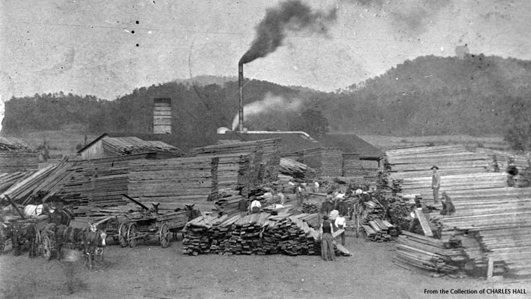 Saw mill in Tellico Plains TN