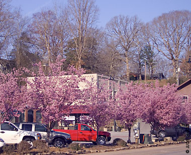 Downtown Tellico Plains in Early Spring