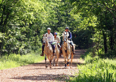 Horseback riding in Tellico Plains TN